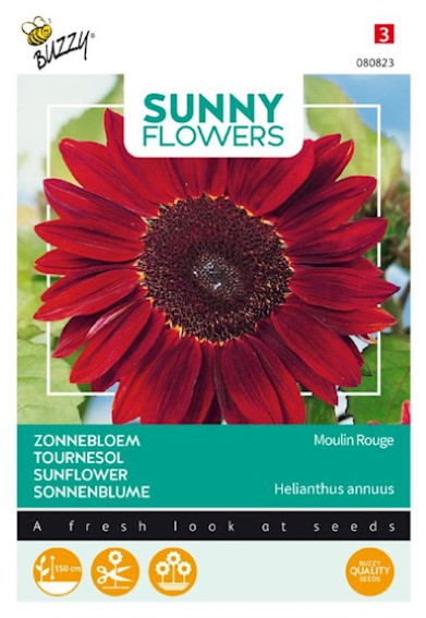 Sunflower Moulin Rouge F1 (Helianthus) 20 seeds BU